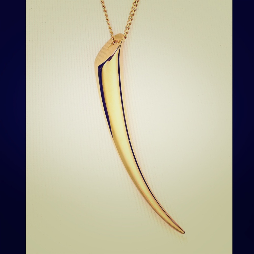 Michael Kors Gold Horn Pendant Necklace